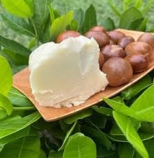 Forest Shea